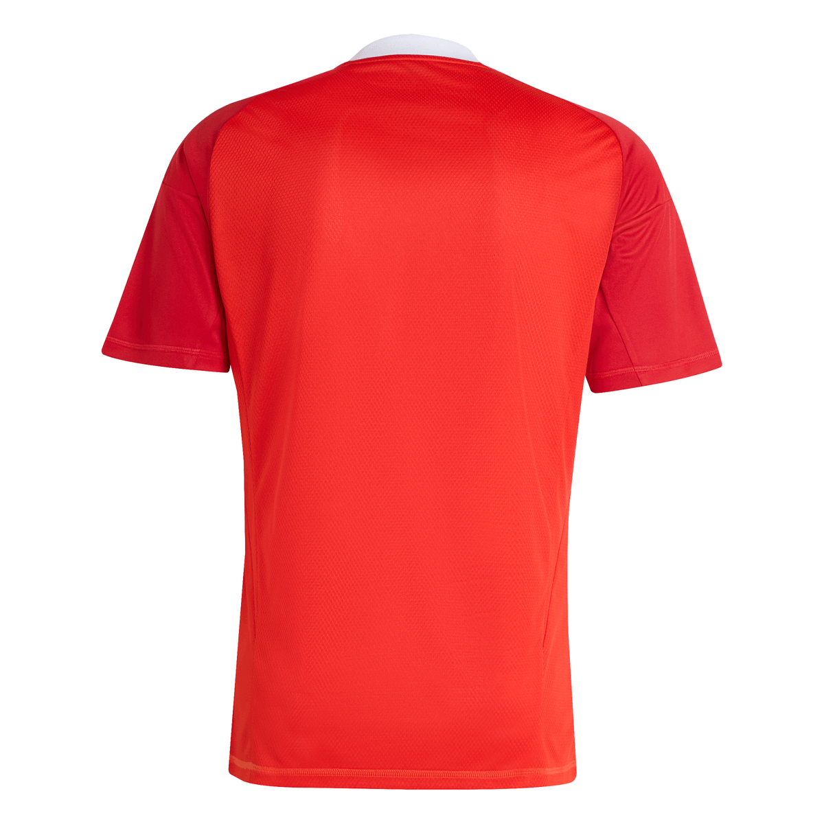 Manto Flamengo Goalkeeper 3 Adidas 2025 - Patrocinio Fan Version