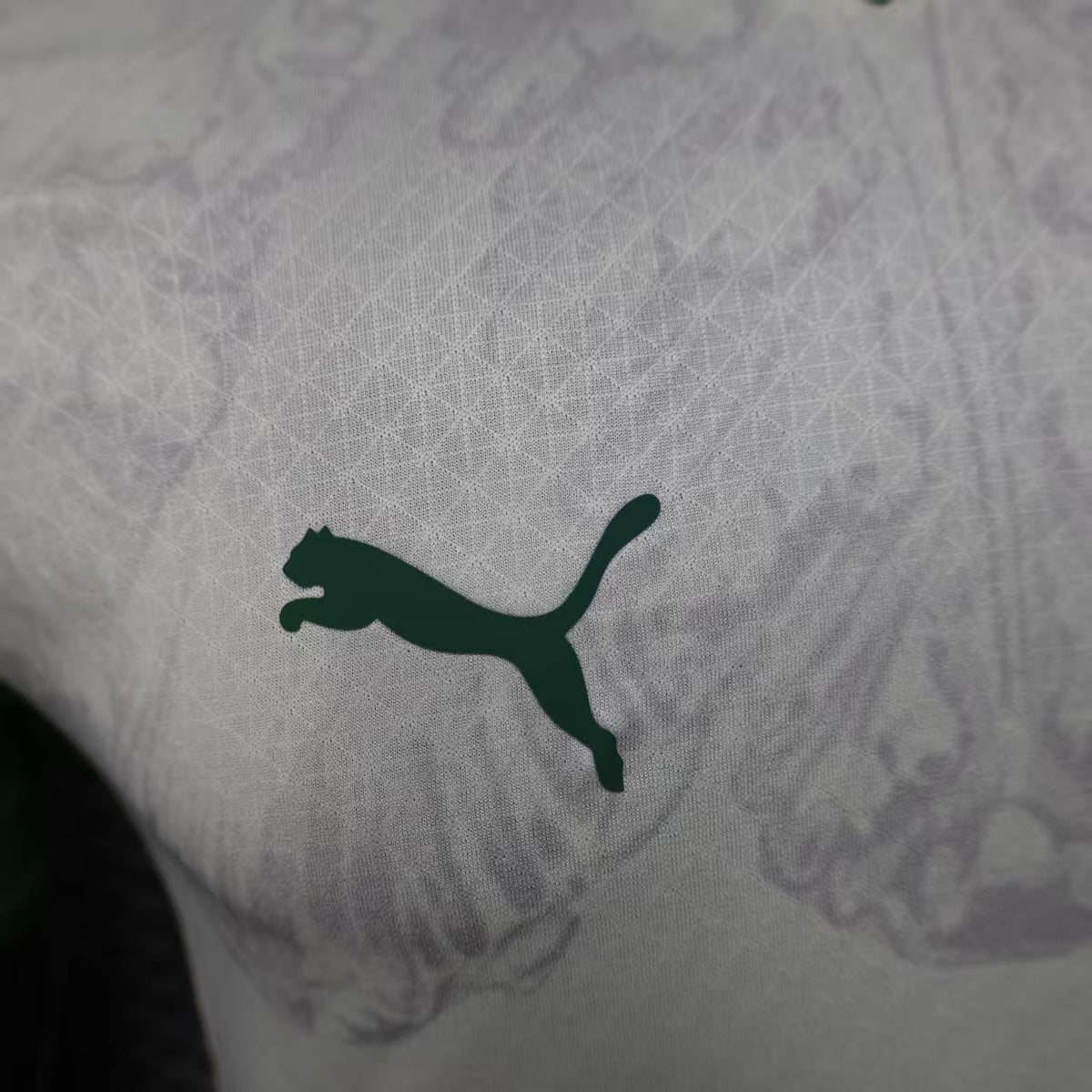 Palmeiras Away Authentic Player [Slim Fit] Player Slim Fit 2025 - Club World Cup [Slim Fit]