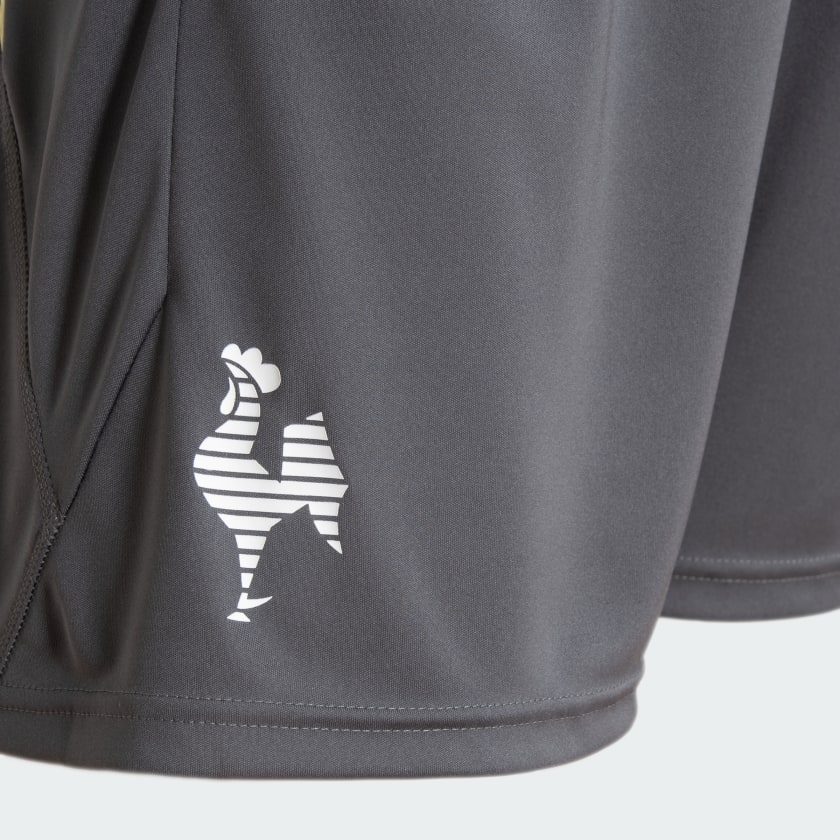 Shorts Training Atletico Mineiro 2024/25